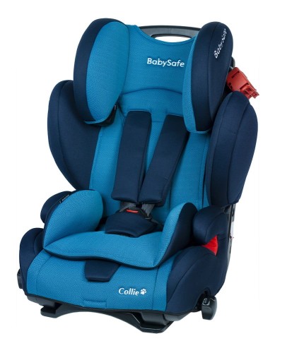 miniaturka sklep.jpg