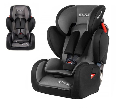 babysafe husky 2020 miniaturka.jpg