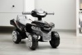 JEŹDZIK MINI RAPTOR GREY