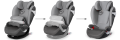 Pallas_M_fix_2in1.png