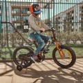 Rowerek-Tigetr-bike-mood1-Medium.jpg