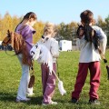 HOPPIHORSE-Hobby-Horse-A3-braz-masc-kasztanowata_[4115]_1200.jpg