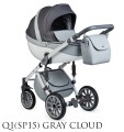 Q1(SP15) GRAY CLOUD.jpg