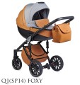 Q1(SP14) FOXY.jpg