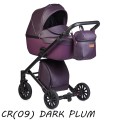 Cr(09) DARK PLUM.jpg