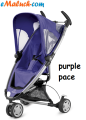 _zapp_2014_purplepace_l.png