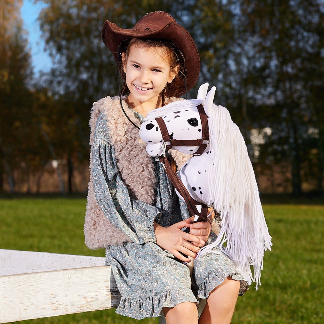 hobbyhorse, konik,zabawka